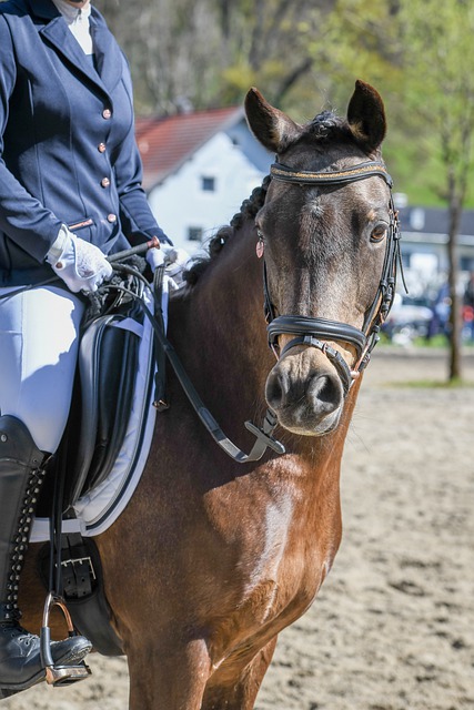 艾弗森曾公 艾弗森曾公