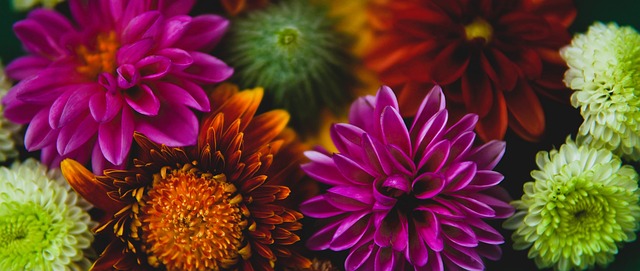 种对防守的 种对防守的